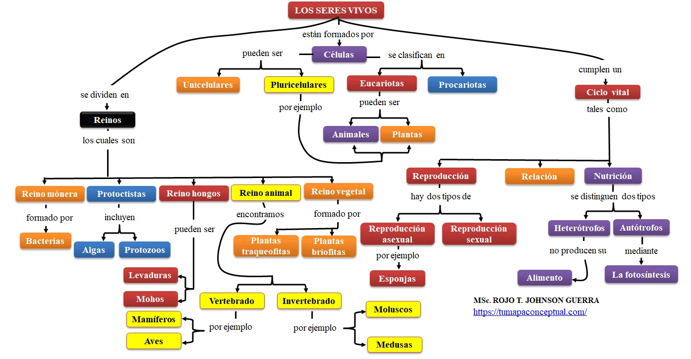 MAPA CONCEPTUAL DE LOS SERES VIVOS