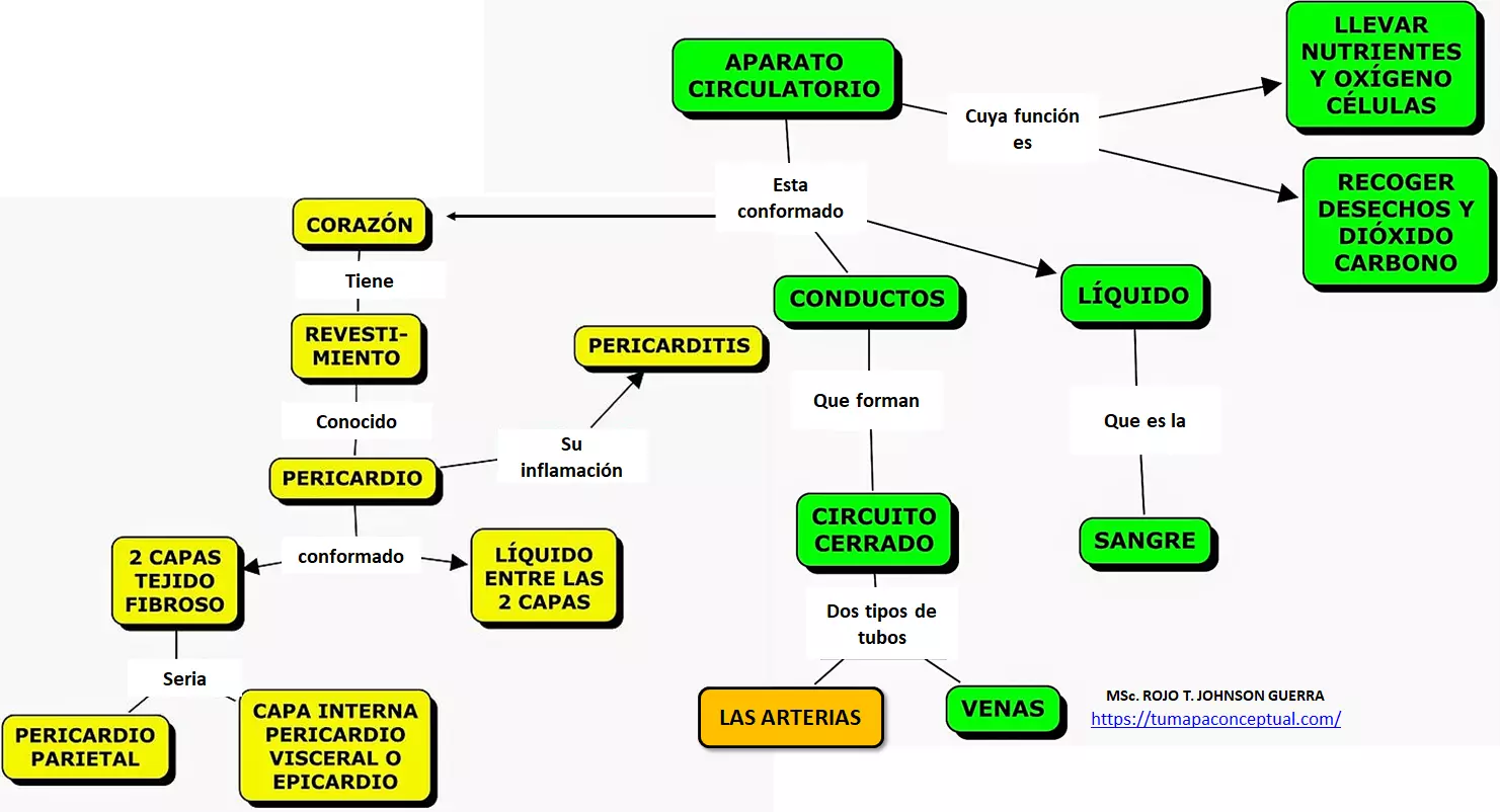 MAPA CONCEPTUAL EL SISTEMA CIRCULATORIO